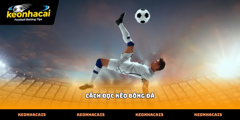 Hướng dẫn chi tiết cách đọc kèo bóng đá tại các sảnh cược