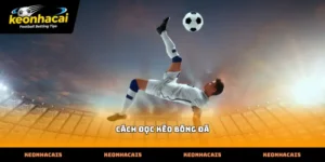 Hướng dẫn chi tiết cách đọc kèo bóng đá tại các sảnh cược