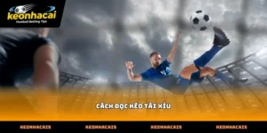 Hướng dẫn chi tiết cách đọc kèo tài xỉu cho người mới