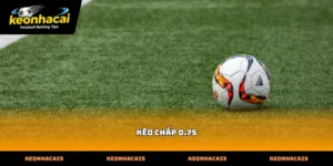 Bí quyết phân tích chi tiết cách đọc kèo chấp 0.75 thực chiến