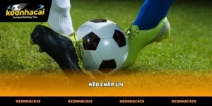 Khám phá bản chất cốt lõi của tỷ lệ kèo chấp 1/4 bóng đá online