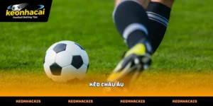 Cách nhận diện biến động bảng tỷ lệ kèo châu âu trực tuyến hiệu quả