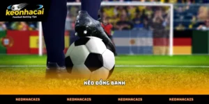 Phân tích bản chất kèo đồng banh trong cá cược bóng đá trực tuyến