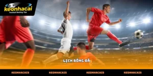 Hướng dẫn theo dõi lịch bóng đá trực tuyến chuẩn xác