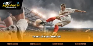 Cách lựa chọn Trang cá cược bóng đá dựa vào dữ liệu thực tế