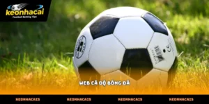 Các tiêu chí cơ bản để đánh giá một web cá độ bóng đá chuyên nghiệp